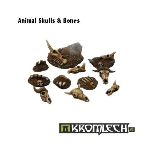 Animal Skulls &amp; Bones (11)