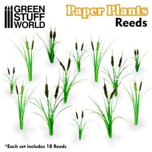 Papierpflanzen - Schilf