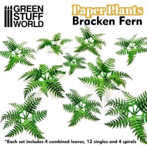 Papierpflanzen - Pteridium Farn