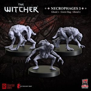 The Witcher - Necrophages 3 - Grave Hag